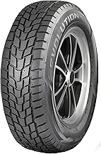 Evolution Winter 215/65R17 99T Tire